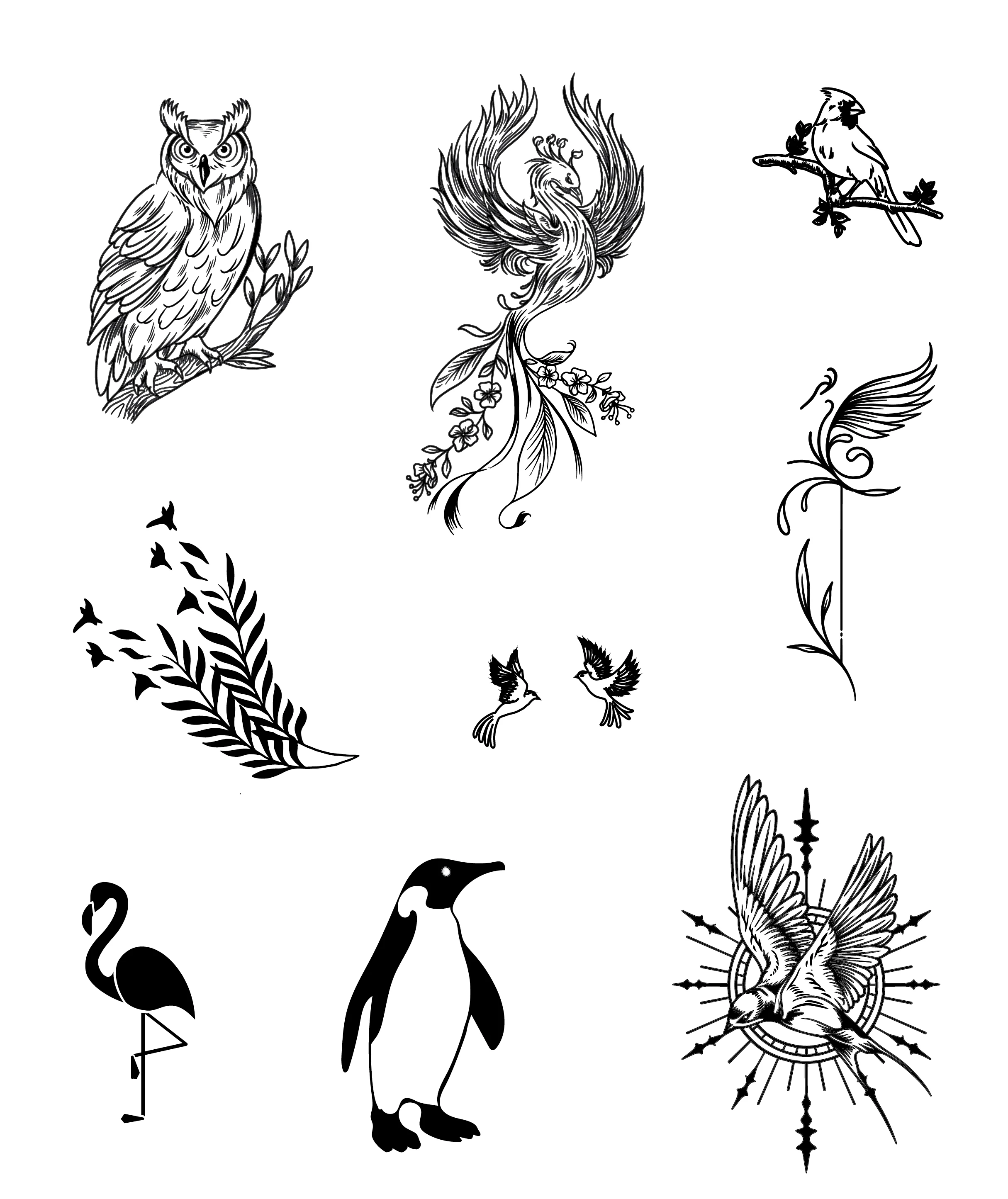 Avian Symphony Bundle - Image 2
